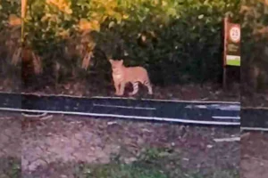 177290289469ac59ee43b1d