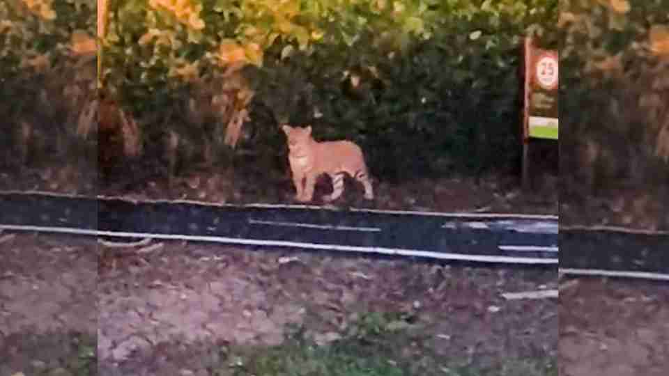 177290289469ac59ee43b1d