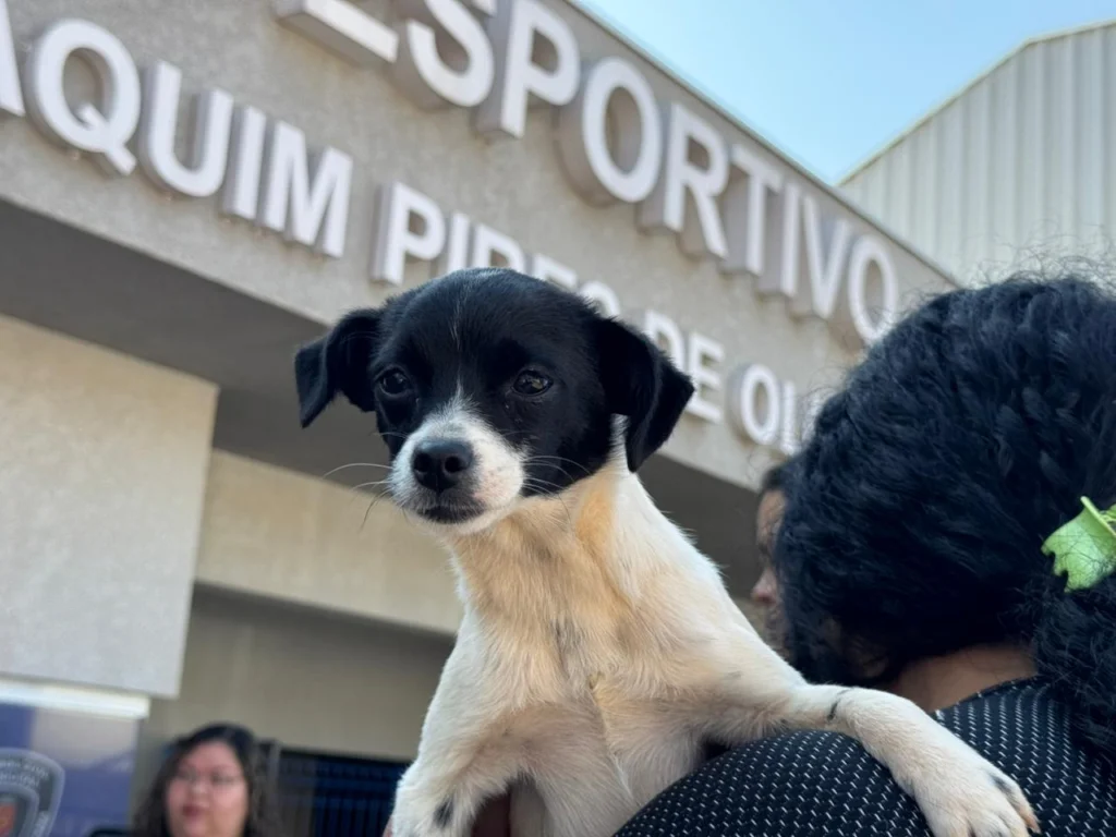 4967d611-ca38-49b2-bf16-90c8dacbf17d