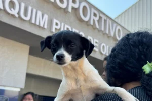 4967d611-ca38-49b2-bf16-90c8dacbf17d