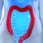 7eec3ba0-cc03-4664-83dc-e44276425e3f