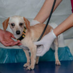 9a05d330-839b-47ee-8983-db4bb22689c5