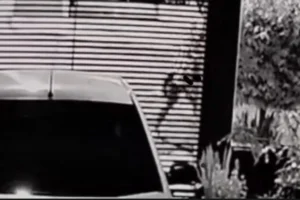 Captura de tela 2026-03-17 094536