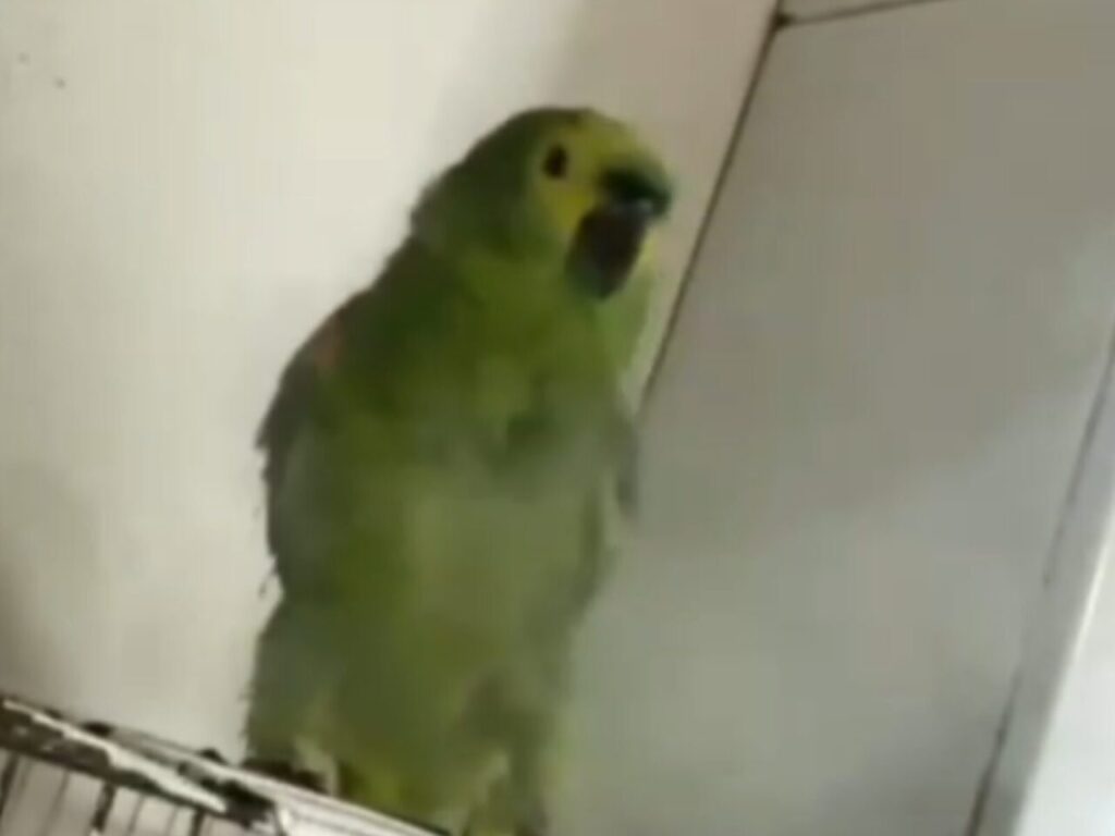 Design sem nome (11)