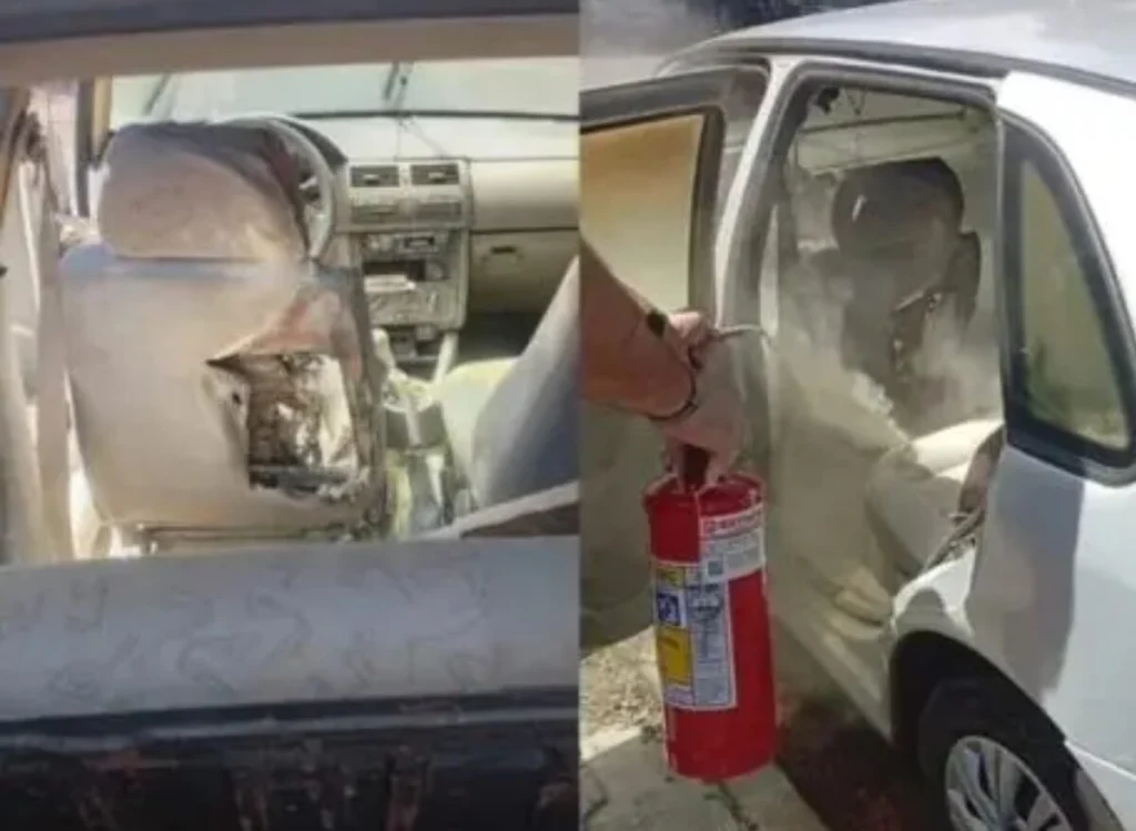 Design sem nome (15)