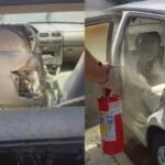 Design sem nome (15)