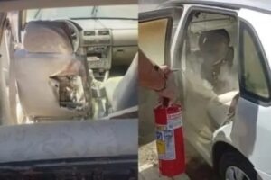 Design sem nome (15)