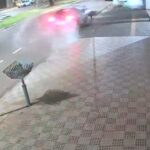 Design sem nome (17)