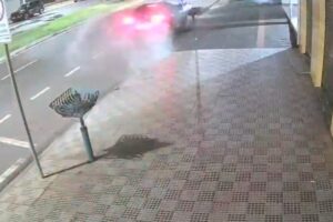 Design sem nome (17)