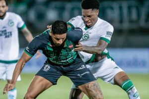 Design sem nome (19)