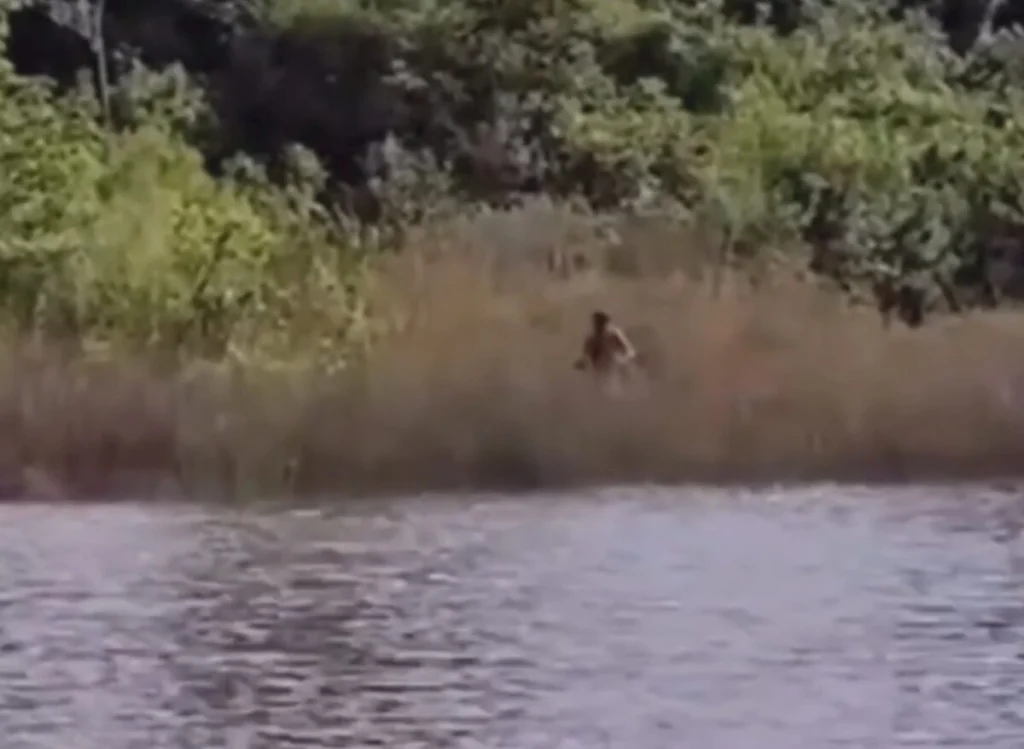 Design sem nome (21)