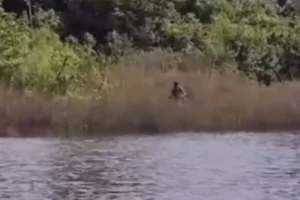 Design sem nome (21)