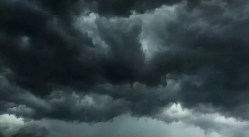 Design sem nome (29)