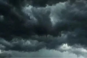 Design sem nome (29)