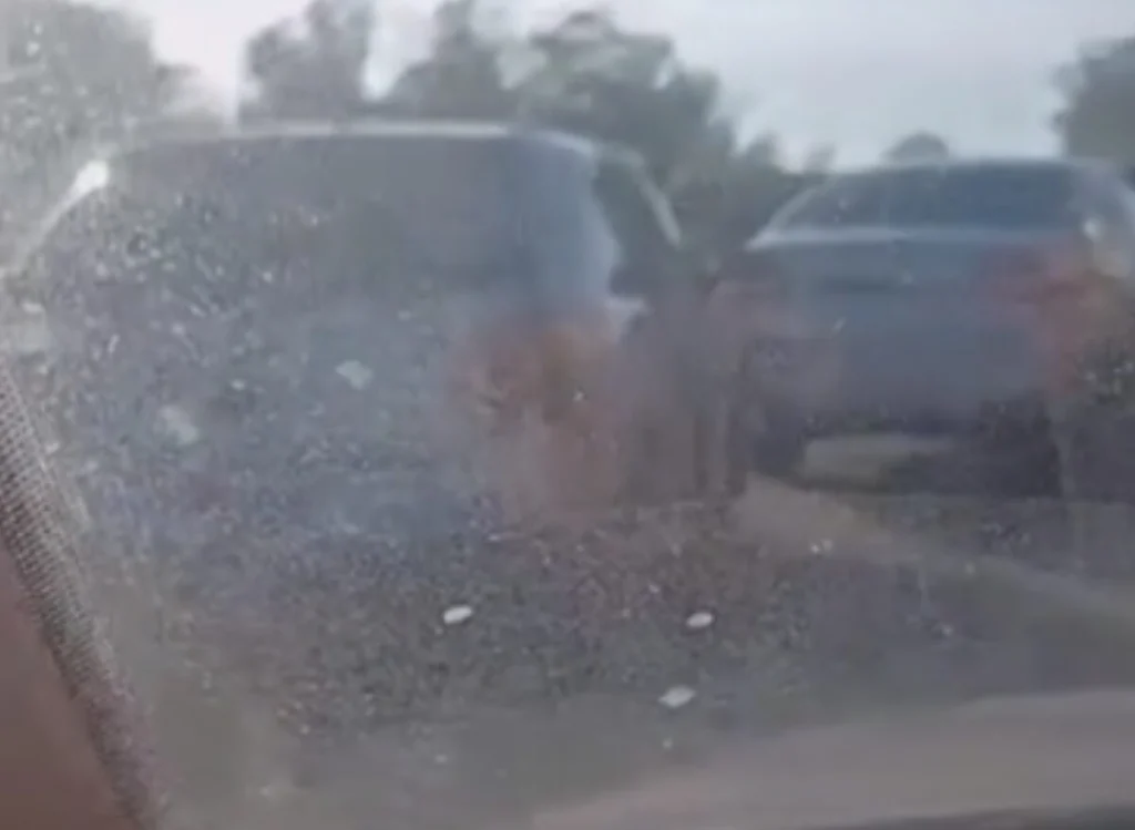 Design sem nome (39)