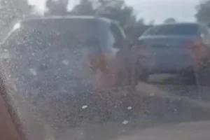 Design sem nome (39)