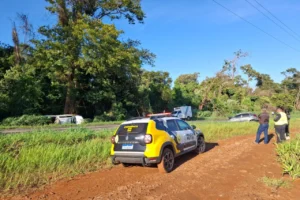 WhatsApp Image 2026-03-03 at 08.31.16