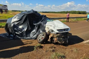 WhatsApp Image 2026-03-05 at 09.18.40