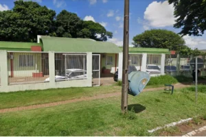 WhatsApp Image 2026-03-06 at 08.47.35