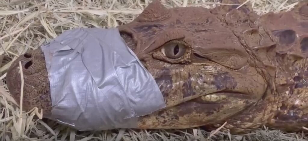 WhatsApp Image 2026-03-06 at 17.40.09