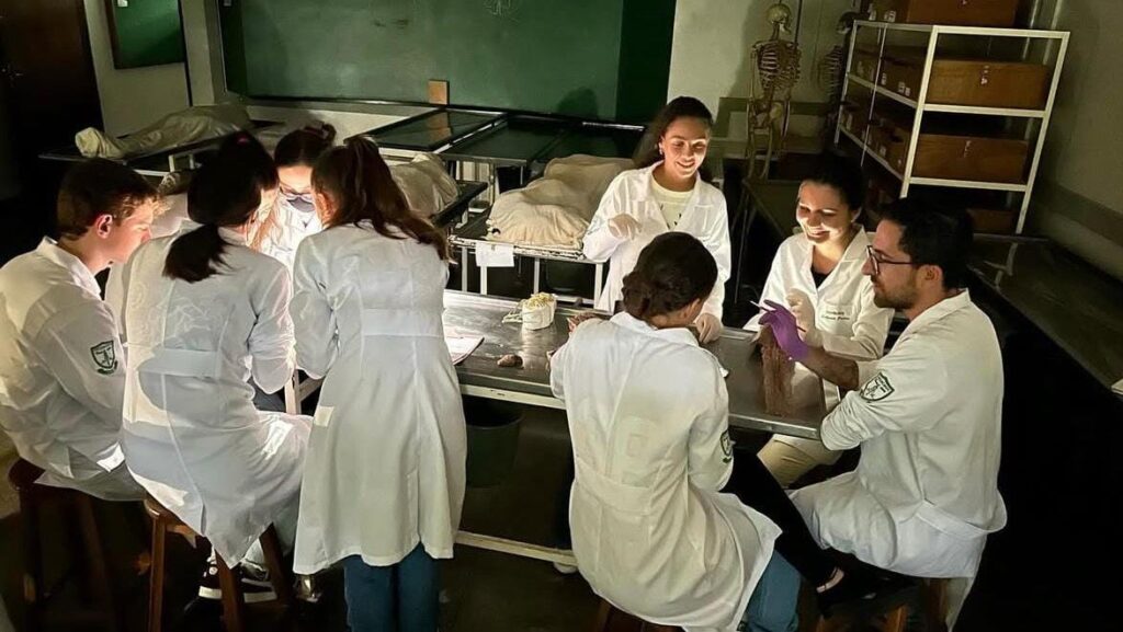 WhatsApp Image 2026-03-07 at 17.41.07