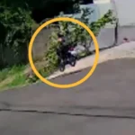 WhatsApp Image 2026-03-10 at 08.36.28 (1)