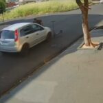 WhatsApp Image 2026-03-10 at 16.10.21