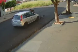 WhatsApp Image 2026-03-10 at 16.10.21