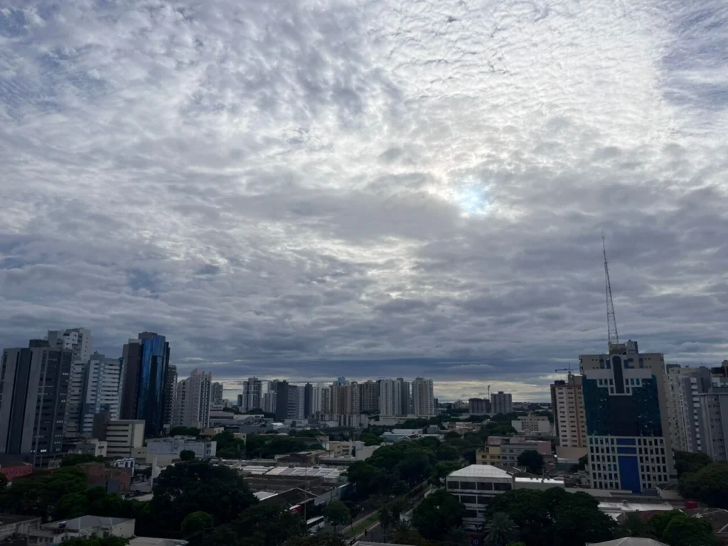 WhatsApp Image 2026-03-11 at 08.01.33