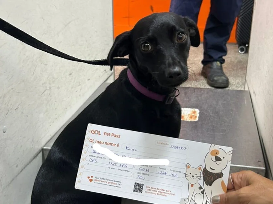 WhatsApp Image 2026-03-12 at 08.59.18