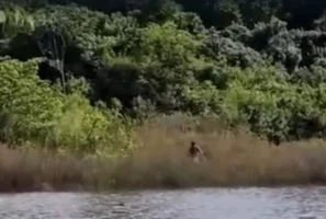 WhatsApp Image 2026-03-13 at 20.21.47