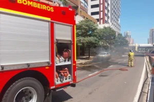 WhatsApp Image 2026-03-16 at 11.46.12