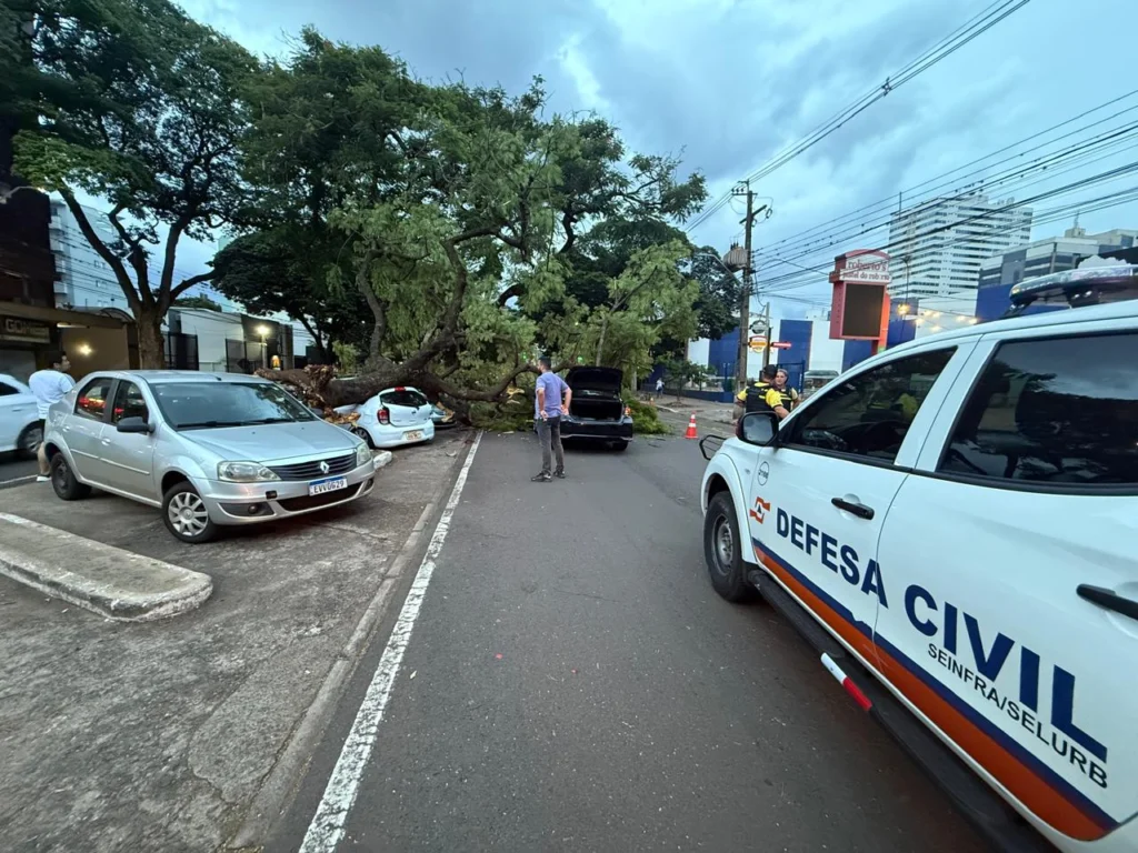 WhatsApp Image 2026-03-17 at 18.37.31