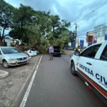 WhatsApp Image 2026-03-17 at 18.37.31