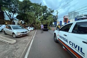 WhatsApp Image 2026-03-17 at 18.37.31