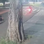 WhatsApp Image 2026-03-18 at 10.07.40