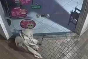 WhatsApp Image 2026-03-18 at 16.39.49