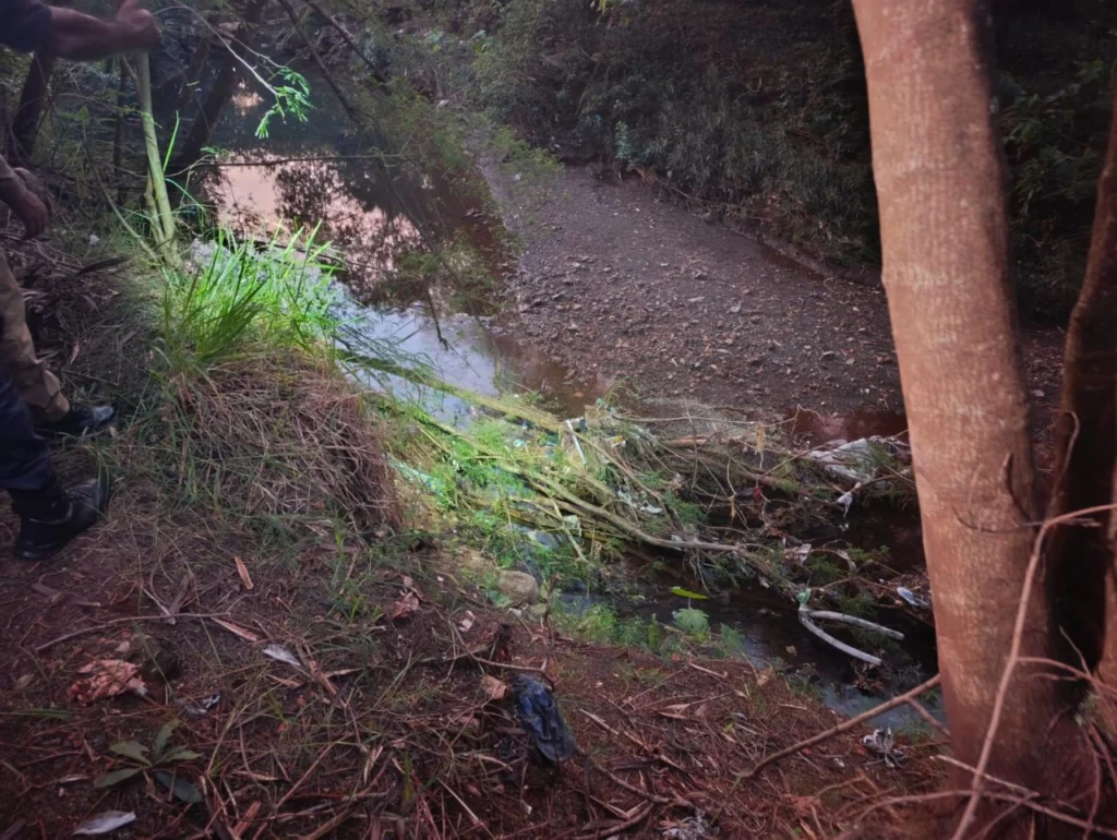 WhatsApp Image 2026-03-19 at 18.58.04