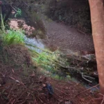 WhatsApp Image 2026-03-19 at 18.58.04