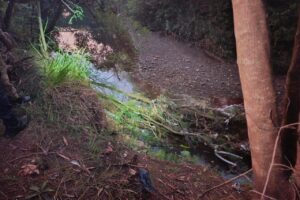 WhatsApp Image 2026-03-19 at 18.58.04