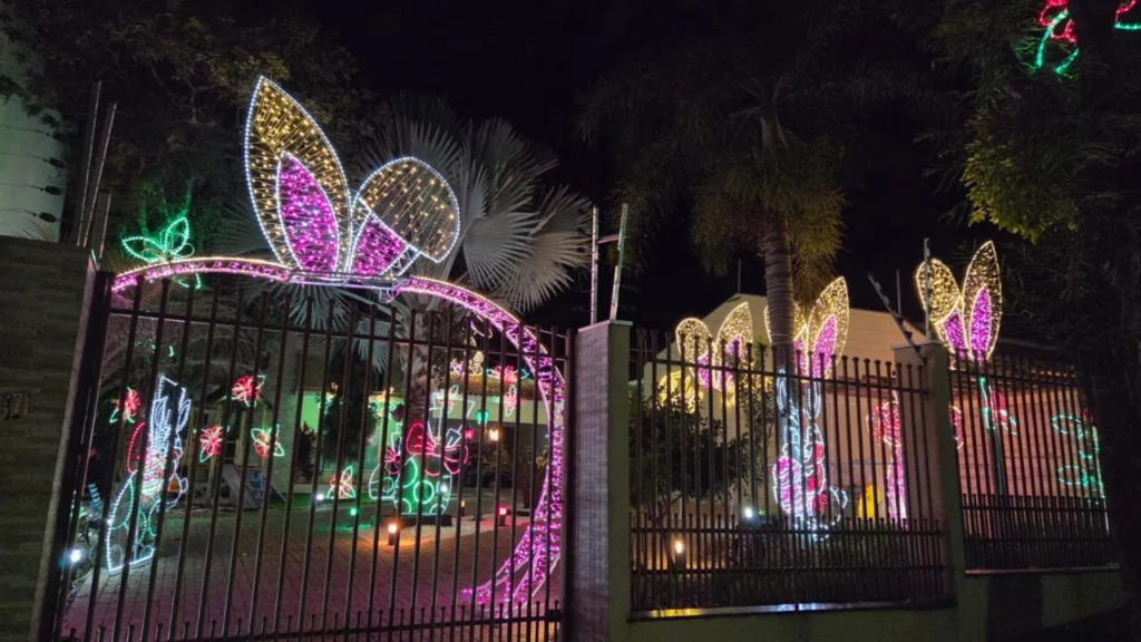 WhatsApp Image 2026-03-20 at 08.17.23 (1)