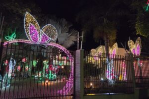 WhatsApp Image 2026-03-20 at 08.17.23 (1)