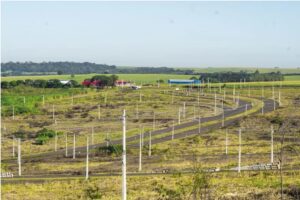 WhatsApp Image 2026-03-20 at 08.40.48