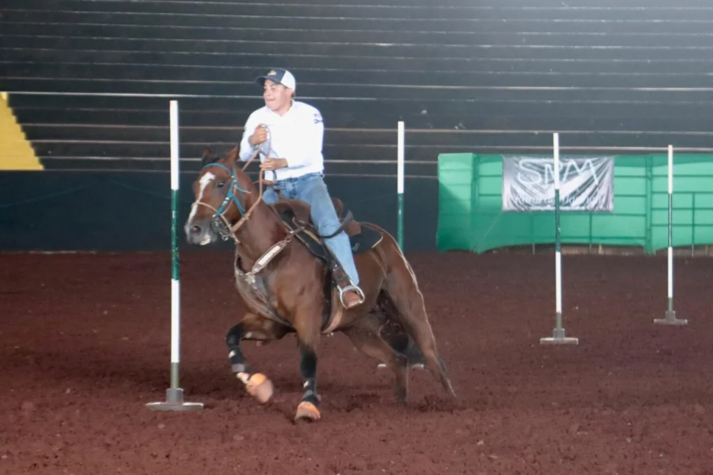 WhatsApp Image 2026-03-20 at 15.56.38