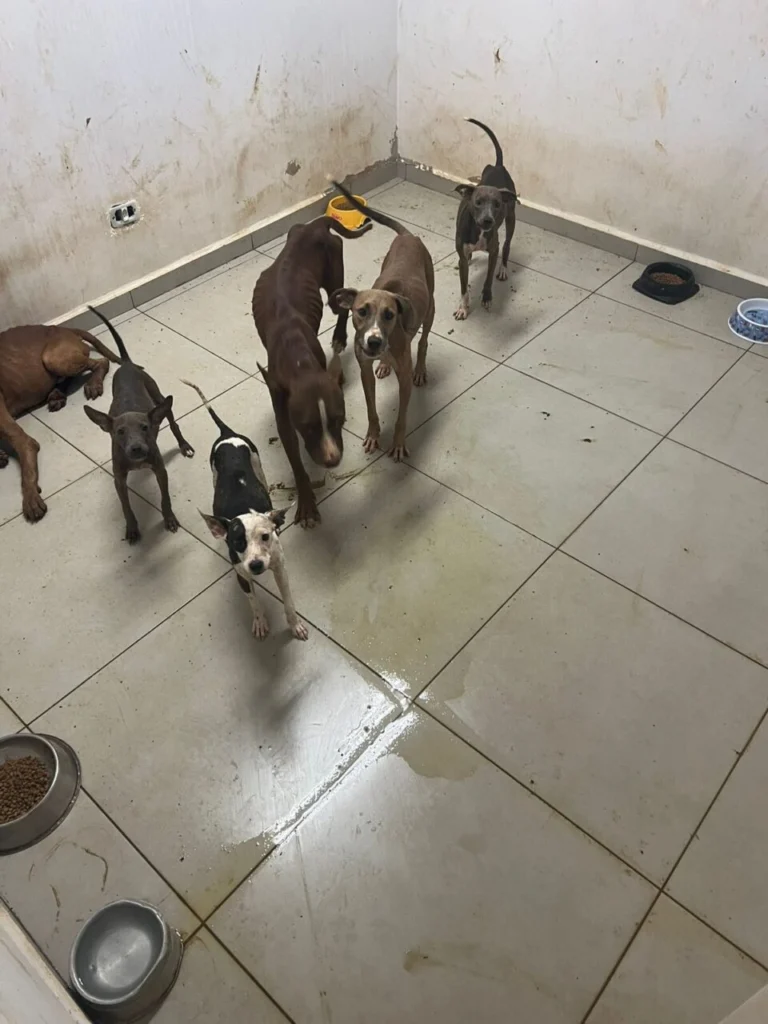 WhatsApp Image 2026-03-23 at 14.56.47