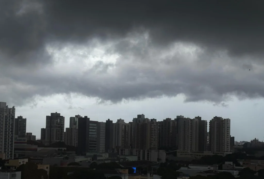 WhatsApp Image 2026-03-24 at 12.52.58