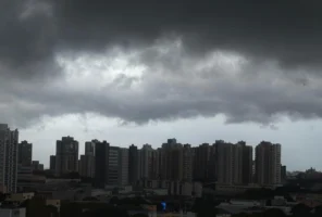 WhatsApp Image 2026-03-24 at 12.52.58