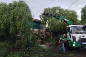 WhatsApp Image 2026-03-24 at 20.10.43