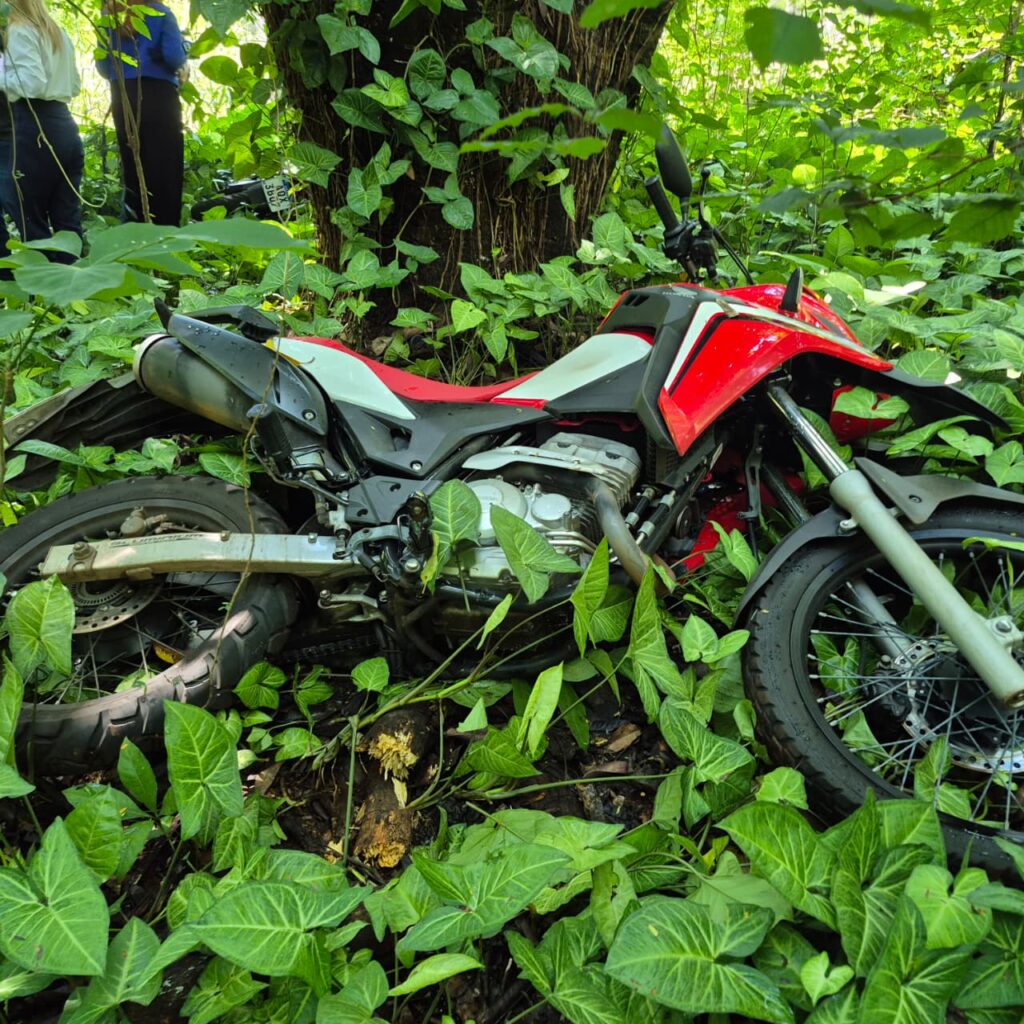 WhatsApp Image 2026-03-25 at 13.01.25 (1)