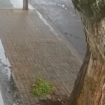 WhatsApp Image 2026-03-26 at 12.20.58